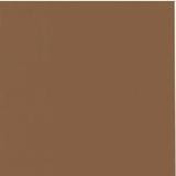 My Colors 100 lb Heavyweight Cardstock 12 x 12 paper - Java (T019915)